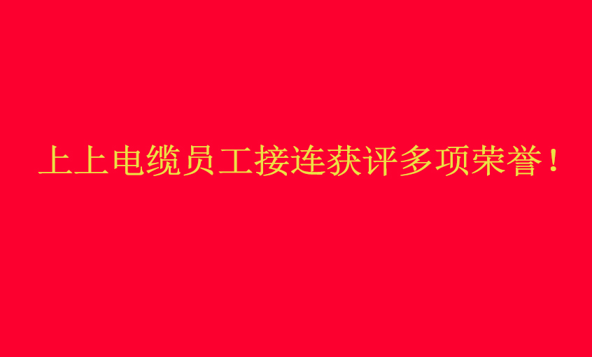 918博天堂电缆员工接连获评多项声誉